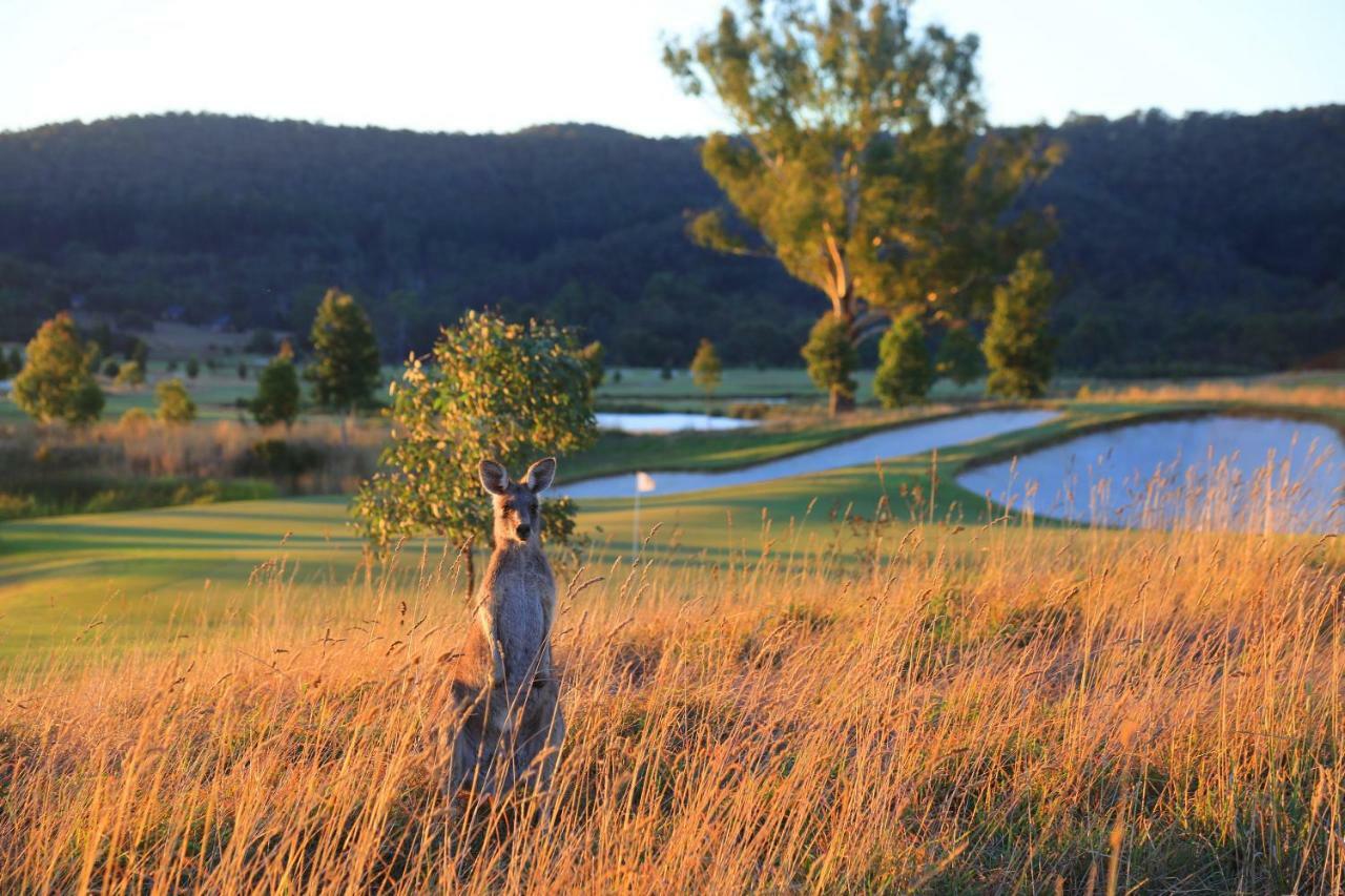 Chateau Yering Yarra Glen Exterior photo